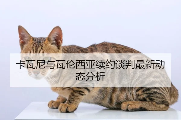 卡瓦尼与瓦伦西亚续约谈判最新动态分析